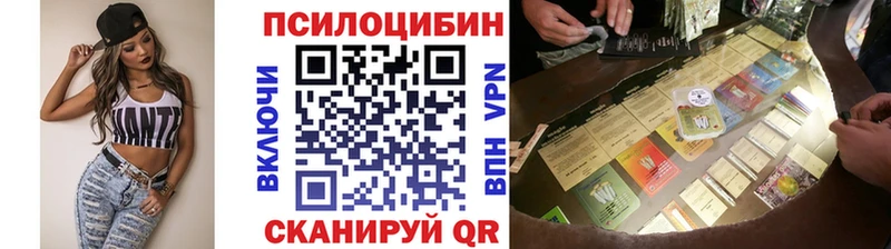 Псилоцибиновые грибы мицелий  Новошахтинск 